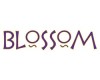 Blossom (США)